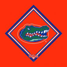 Collegiate Microfiber Cloth, University of Florida