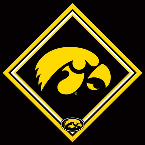 University of Iowa Cleaning Cloth