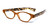 Calabria R544S Designer Eyeglasses in Orange-Tortoise :: Custom Left & Right Lens
