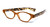 Calabria R544S Designer Eyeglasses in Orange-Tortoise :: Progressive