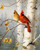 Cardinals West Virginia State Bird Artwork Micro Fiber Cleaning Cloth