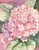Flowers Artwork 240-10c-2 Micro Fiber Cleaning Cloth