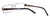 Dale Earnhardt, Jr. 6783 Designer Eyeglasses in Brown :: Progressive