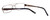 Dale Earnhardt, Jr. 6783 Designer Eyeglasses in Brown :: Rx Bi-Focal