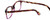 Calabria Splash SP63 Designer Eyeglasses in Tortoise-Pink :: Custom Left & Right Lens