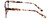 Calabria Splash SP62 Designer Eyeglasses in Brown :: Rx Single Vision