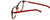Calabria Viv 848 Designer Eyeglasses in Demi-Red :: Rx Single Vision