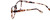 Calabria Splash SP62 Designer Reading Glasses in Brown