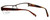 Argyleculture Designer Eyeglasses Rodgers in Brown :: Custom Left & Right Lens