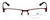 Argyleculture Designer Eyeglasses Parker in Brown :: Rx Single Vision