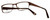 Argyleculture Designer Eyeglasses Morton in Dark-Brown :: Progressive