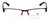 Argyleculture Designer Eyeglasses Parker in Brown :: Rx Bi-Focal