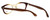 FACE Stockholm Busy 1316-9201 Designer Eyeglasses in Brown Beige :: Rx Bi-Focal