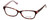 Calabria Splash Designer Eyeglasses SP59 in Demi-Pink :: Rx Single Vision