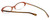 Oliver Peoples Designer Eyeglasses Lorelei OTPI in Brown Stripe 50mm :: Rx Single Vision