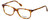 Esquire Designer Eyeglasses EQ1508 in Light-Tortoise 51mm :: Custom Left & Right Lens