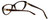 Silver Dollar Designer Eyeglasses Cashmere 456 in Tortoise 53mm :: Rx Single Vision