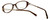 Silver Dollar Designer Eyeglasses Cashmere 463 in Honey 50mm :: Rx Single Vision