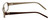 Silver Dollar Designer Eyeglasses Portia in Brown 50mm :: Rx Single Vision