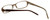 Silver Dollar Designer Eyeglasses Portia in Brown 50mm :: Rx Single Vision