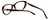 Silver Dollar Designer Eyeglasses Cashmere 456 in Tortoise 53mm :: Progressive