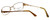 Silver Dollar Designer Eyeglasses Connie in Cocoa 49mm :: Progressive