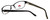 Silver Dollar Designer Eyeglasses Café 3152 in Ebony 52mm :: Rx Bi-Focal