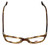 Silver Dollar Designer Reading Glasses Café 3161 in Tortoise 52mm