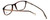 Original Penguin Designer Eyeglasses The Anderson in Tortoise 52mm :: Progressive