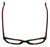 Carrera Designer Eyeglasses CA5536-MT2 in Havana Burgundy 51mm :: Rx Single Vision