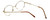 Flex Collection Designer Eyeglasses FL-37 in Gold-Demi-Brown 46mm :: Rx Single Vision