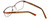 Eddie-Bauer Designer Eyeglasses EB8323 in Brown 53mm :: Progressive