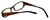 Converse Designer Eyeglasses Composition in Brown 50mm :: Rx Single Vision