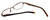 Converse Designer Eyeglasses Energy in Brown 44mm :: Rx Single Vision