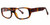 Calabria Soho 18 Tortoise Designer Eyeglasses :: Custom Left & Right Lens