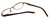 Converse Designer Reading Glasses Energy in Brown 44mm