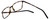 Calabria Viv Designer Eyeglasses 2016 in Tortoise 55mm :: Custom Left & Right Lens