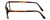 Calabria Viv Designer Eyeglasses 243 in Tortoise 53mm :: Rx Bi-Focal
