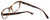 Vera Wang Designer Eyeglasses V339 in Nude-Horn 51mm :: Custom Left & Right Lens