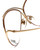 Rodenstock Designer Eyeglasses 828 in Gold/Red 59mm :: Rx Single Vision