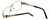 Cazal Designer Eyeglasses 1092-003 in Gold-Brown 55mm :: Custom Left & Right Lens