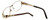 Cazal Designer Eyeglasses 1092-003 in Gold-Brown 55mm :: Progressive