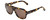 Tom-Ford Designer Sunglasses Omar TF465-56J in Tortoise with Brown Lens 60mm