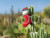 Holiday Christmas Theme Cleaning Cloth, Cactus Stocking