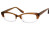 Eddie Bauer Designer Eyeglasses EB8290 in Brown Fade 50mm :: Rx Single Vision