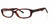 Calabria Soho 108 Tortoise Designer Eyeglasses :: Rx Single Vision