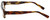 Nike Designer Reading Glasses 5524-200 in Crystal Brown 48mm