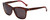 Carolina Herrera Designer Sunglasses SHE603-09XW in Havana Plasticmm