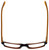 Converse Designer Eyeglasses Q004 in Brown 51mm :: Progressive