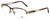 Cazal Designer Eyeglasses Cazal-4212-003 in Brown 54mm :: Custom Left & Right Lens